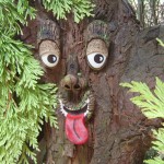 Tree Face 2 Garden-shopping