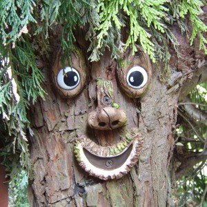 Tree Face 3 garden-shopping