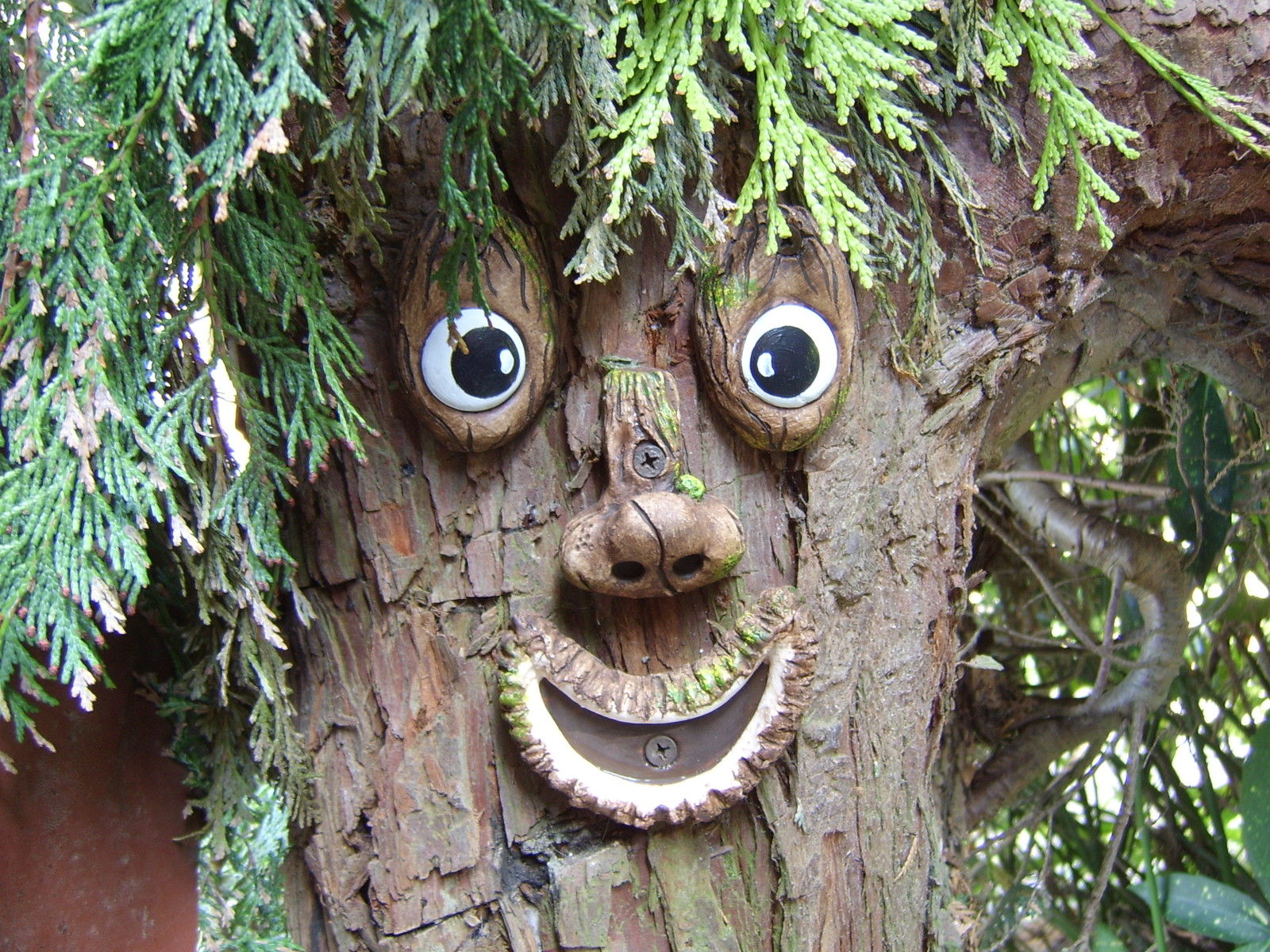 Tree Faces from Garden-Shopping > Inspiration and Advice from Garden ...