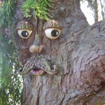 Tree Face 4 Garden-shopping