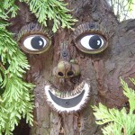 Tree Face 1 Garden-shopping