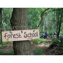 Forest School, Wildlife and Nature