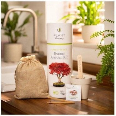 Grow Your Own Bonsai Kit - Currently Out Of Stock