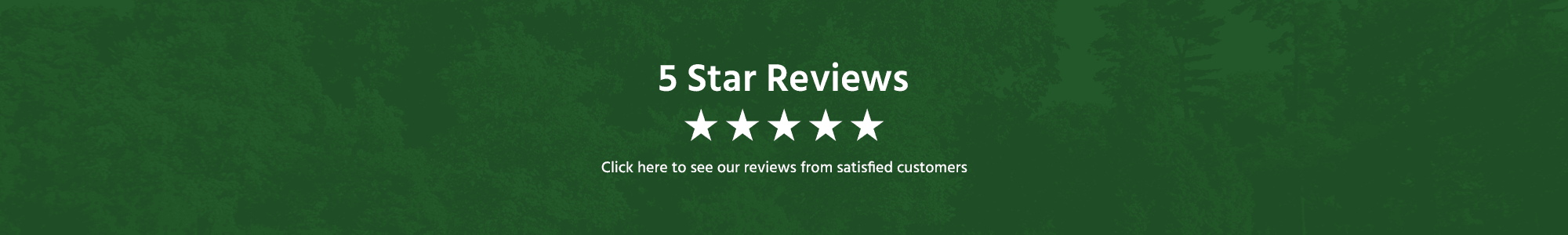 Read our Reviews