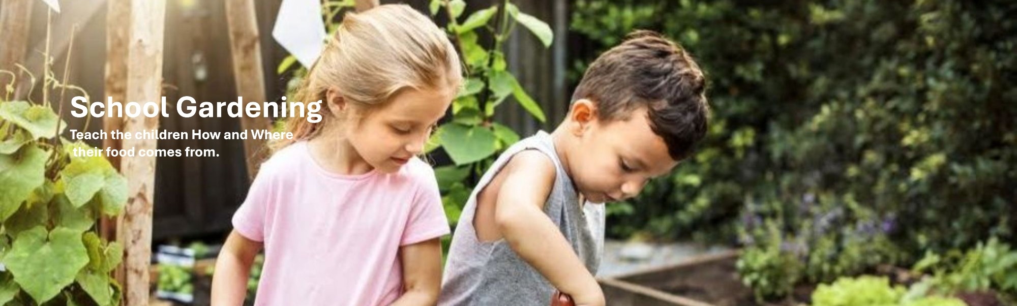 School Gardening