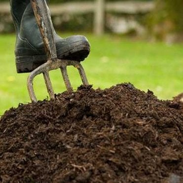 Multi Purpose Compost