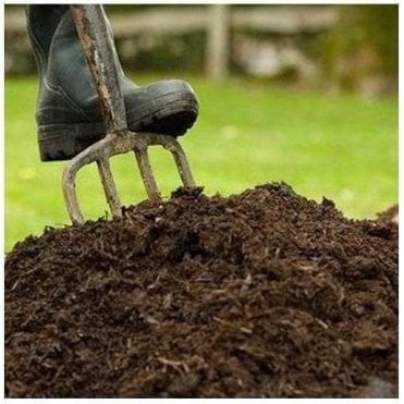 Spent Mushroom Compost