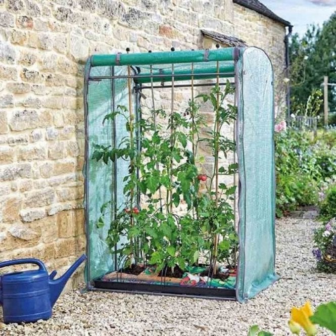 Tomato, Cucumber, Chillie and Pepper Growing Propagator