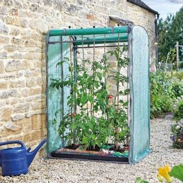 Tomato, Cucumber, Chillie and Pepper Growing Propagator