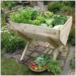 Veg Bed