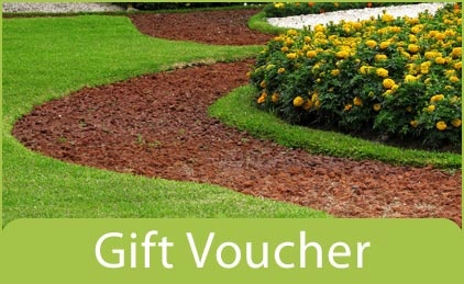 Voucher 1