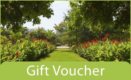 Voucher 3