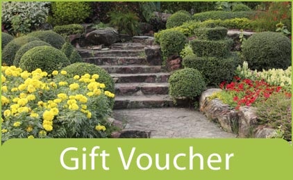 Voucher 4