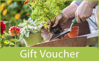 Voucher 5